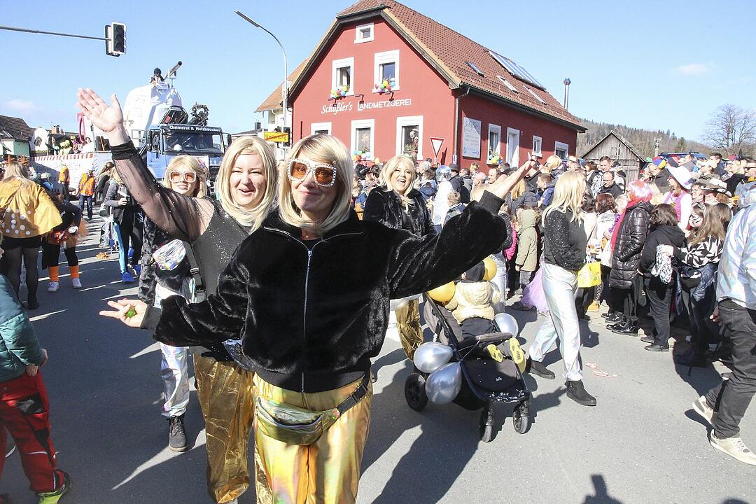 Fasching 2025 in Stadtsteinach!