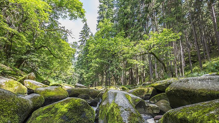 Region: Oberpf&auml;lzer Wald Landkreis: Tirschenreuth Themen: Wandern Beschreibung Butterfass hei&szlig;t diese magische Felslandschaft im Waldnaabtal Wandern am Goldsteig Tags Oberpf&auml;lzer Wald, Wandern/Wanderer, Waldnaabtal, Goldsteig, Landkreis Tirschenreuth
