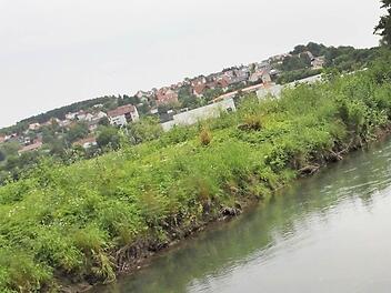 In der Unteren Au verläuft die Lauer seit den 70er Jahren in einem künstlich geschaffenen Bachbett. Das steile Ufer soll jetzt flache Uferzonen bekommen.
