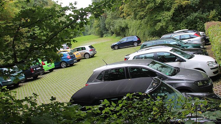 Der Parkplatz der Medau-Schule hat derzeit 54 Stellplätze. Durch den Bau der Zufahrt würden einige wegfallen.
