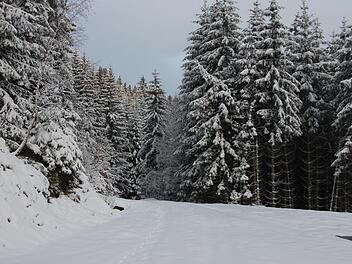 30 Zentimeter ist die Schneedecke im Oberen Frankenwald derzeit dick. Sobald es taut, wird er die Wasserbodenspeicher füllen können. Die Frage ist nur: Wie sehr können sie aufgefüllt werden? Foto: veronika Schadeck