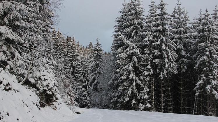 30 Zentimeter ist die Schneedecke im Oberen Frankenwald derzeit dick. Sobald es taut, wird er die Wasserbodenspeicher füllen können. Die Frage ist nur: Wie sehr können sie aufgefüllt werden? Foto: veronika Schadeck