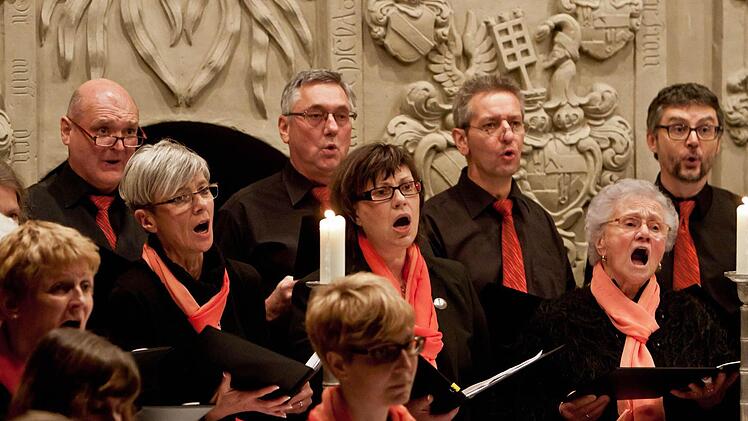 Mit engagiertem Gesang beeindruckte der Singverein Niederfüllbach bei seinem Adventskonzert in der Schlosskirche. Als Vokalsolistin überzeugte Nicole Büttner in Franz Möckls Weihnachtskantate. Den Orgelpart übernahm Gerhard Deutschmann. Fotos: Jochen Berger
