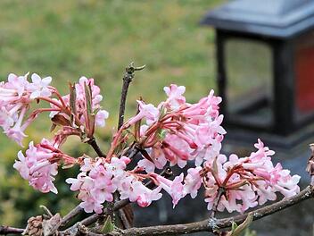 Schon bald nach der Beerdigung müssen die Angehörigen oft alleine mit ihrer Trauer umgehen. In der Trauergruppe finden sie Hilfe und Trost und andere Menschen, denen es genauso geht.  Foto: Archiv/Heike Beudert