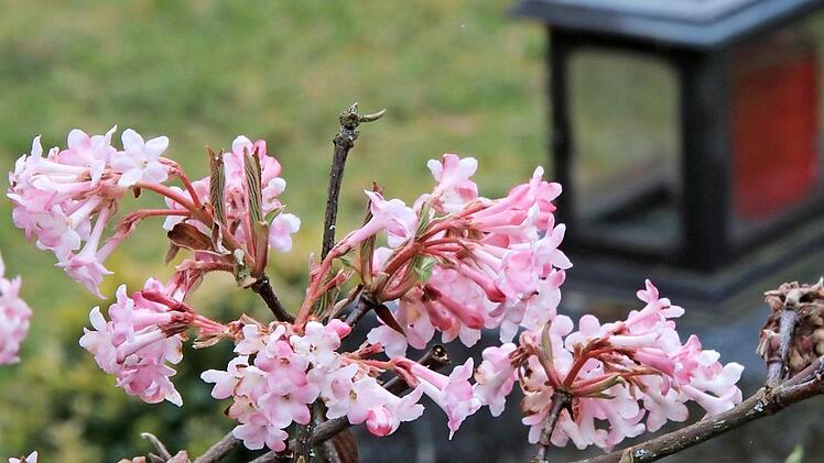Schon bald nach der Beerdigung müssen die Angehörigen oft alleine mit ihrer Trauer umgehen. In der Trauergruppe finden sie Hilfe und Trost und andere Menschen, denen es genauso geht.  Foto: Archiv/Heike Beudert
