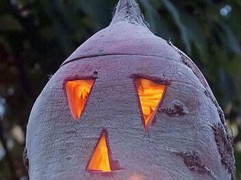 Fr&uuml;her gab es einen Wettstreit zwischen den Kindern um das sch&ouml;nste Exemplar. Foto: Manfred Welker