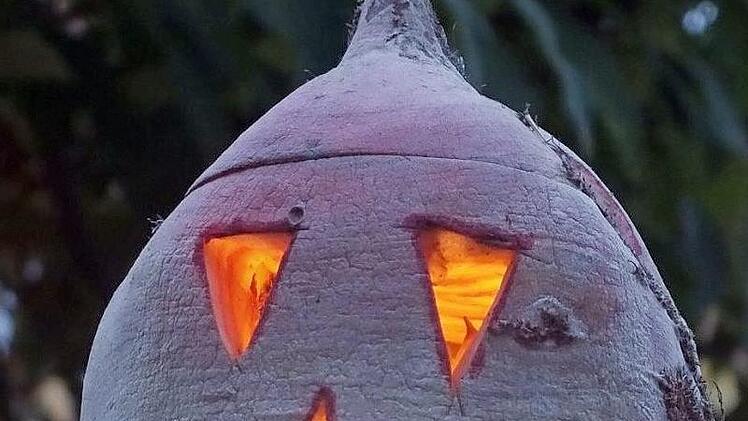 Fr&uuml;her gab es einen Wettstreit zwischen den Kindern um das sch&ouml;nste Exemplar. Foto: Manfred Welker