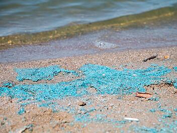 Blaualgen