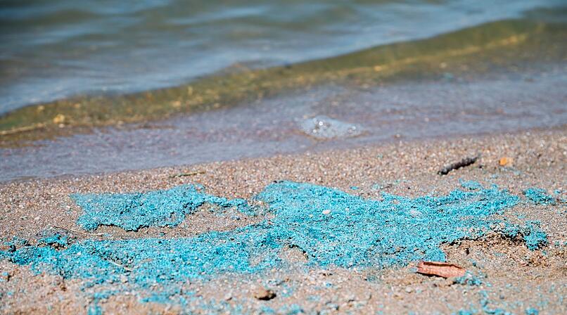 Gesundheitsgefahr: Blaualgen-Warnung f&uuml;r Goldbergsee bei Coburg