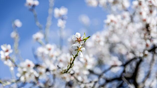 Fr&uuml;hlingshaftes Wetter in SPanien