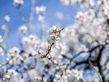 "Bin ich mir relativ sicher": Hier wird die 20-Grad-Marke in Franken geknackt