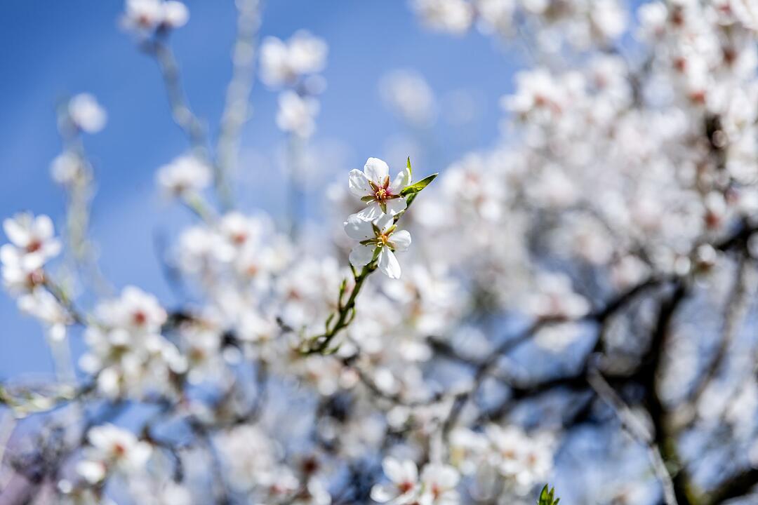 Fr&uuml;hlingshaftes Wetter in SPanien