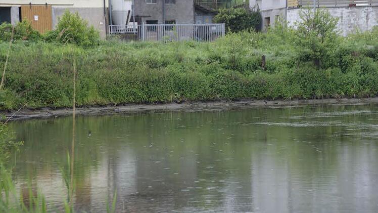 Gegen 9 Uhr gestern morgen konnte man am Seeufer erkennen, dass die Entlastungsmaßnahme griff und der Wasserspiegel sank.