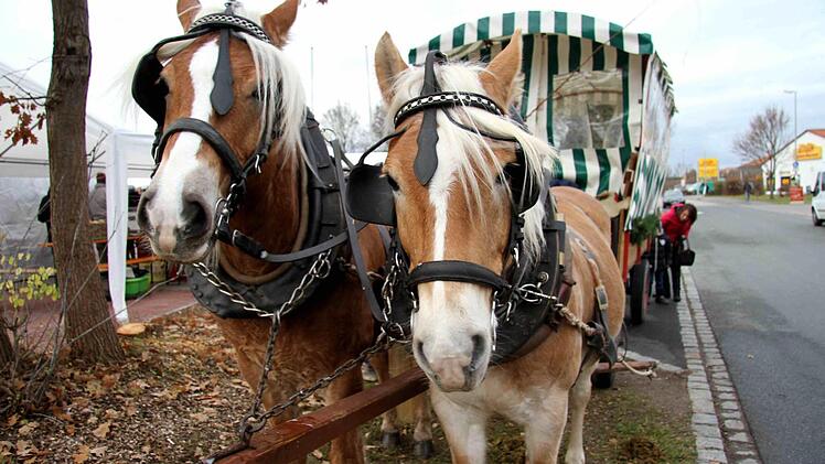 Foto: Richard S&auml;nger