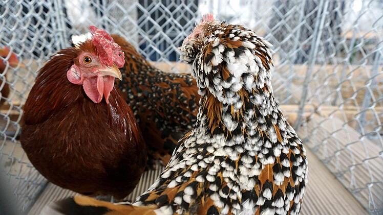 Foto: Richard Sänger