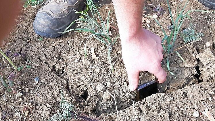 Die Risse im Boden waren in diesem Jahr oftmals so tief, dass man mühelos ein Smartphone darin versenken konnte. Foto: Bauernverband
