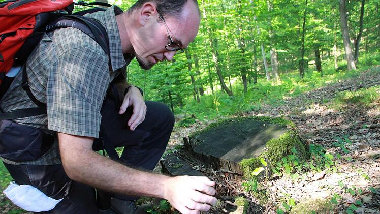 Der Hirschkäfer ist nicht zu übersehen und trotzdem schwer aufzuspüren. Wer einen entdeckt, kann ihn in einem Register melden und Wissenschaftlern dabei helfen, diesen Käfer mit Symbolkraft besser kennenzulernen. Fotos: Carmen Schmitt, Martina Straub, M. Wehner/Archiv