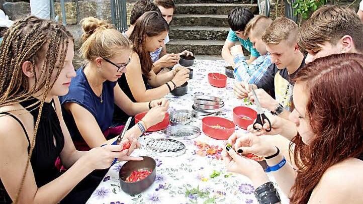 Die Blütenblätter mussten zerkleinert werden, bevor sie in die Seife geknetet werden. Foto: Johanna Blum