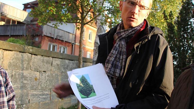 Lang langte bei den Alternativen zu.