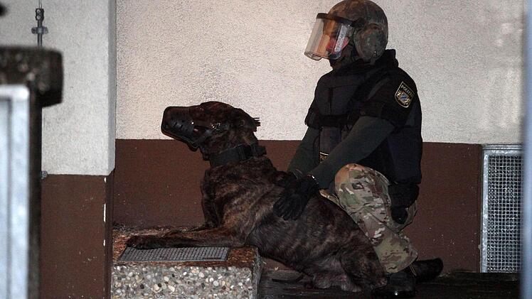 Ein SEK-Beamter wartet mit einem Polizeihund vor der Haustuere des Mehrfamilienhauses.Foto: Ott, News5