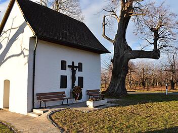 Die Linden bei der Lillinger Kapelle Foto: Petra Malbrich