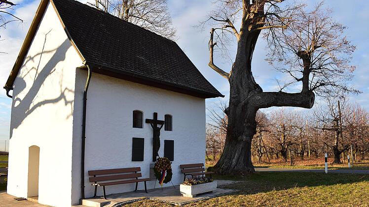 Die Linden bei der Lillinger Kapelle Foto: Petra Malbrich
