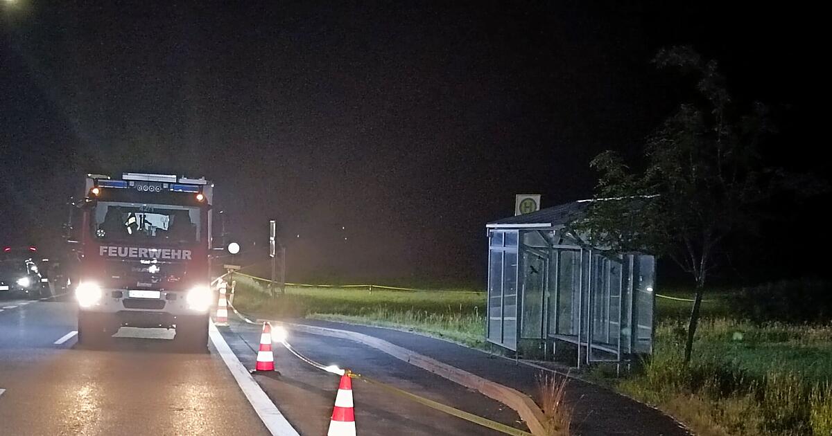 Tödliche Schüsse an Grenzübergang in Franken - Herrmann sieht Sinn von ...