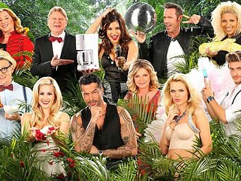Die Kandidaten des Dschungelcamp 2015. Foto: RTL