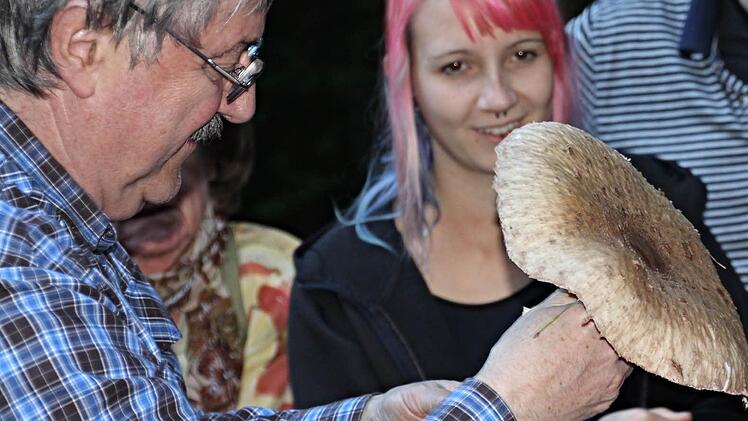 Kontraste von rosa-blau und beige. Ein Prachtexemplar von einem Parasol hält Herbert Stang in Händen. "Aber Vorsicht", warnte er, nicht jeder ist genießbar.Foto: Helmut Will