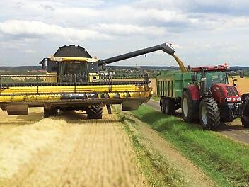 Die erste Wintergerste von Dominik Kiesel aus Reiterswiesen wird gedroschen, seine Erntesaison hat am 11. Juli begonnen. Foto: Dominik Kiesel