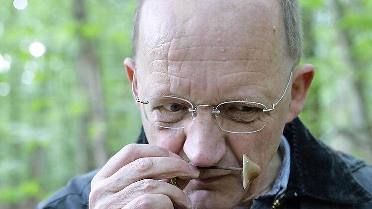 Eindeutiger Geruch: ein Knoblauchschwindling Foto: Ronald Rinklef
