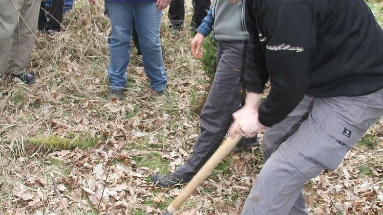 Beim Praxisteil gräbt Dominik Schmitt ein naturverjüngtes Bäumchen aus - und alle staunen, wie tief die Wurzeln gehen.