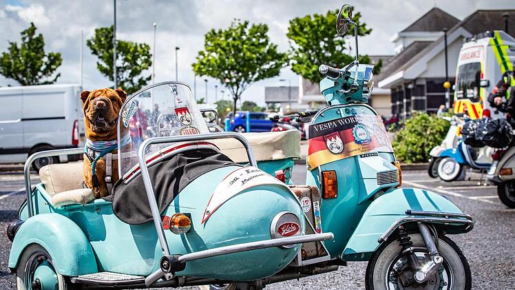 Hund Mia im Beiwagen von Michael  Auers Vespa. Das Gespann wurde auf den "Vespa World Days" mit dem "Best Of Show Award" ausgezeichnet. Foto: privat.