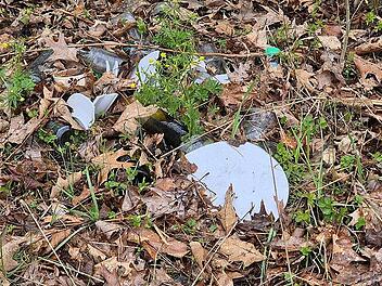 Wenn Kronach zur M&uuml;llkippe gemacht wird