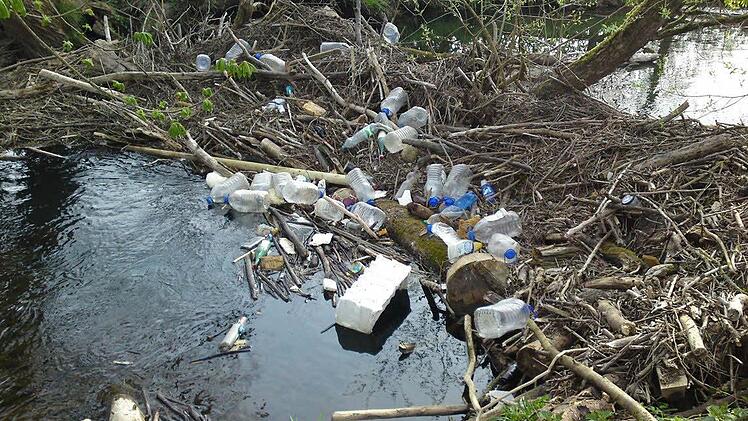 Ein unschöner Anblick bot sich den freiwilligen Helfern: Sie fischten dutzendweise Plastikflaschen aus den Stadtsteinacher Bächen.