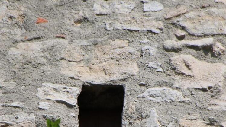 Hinter dieser Turmöffnung wächst der Schleiereulen-Nachwuchs heran. Foto: Heike Beudert