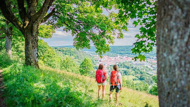 Wahl zu Deutschland sch&ouml;nstem Wanderweg: Eichst&auml;tter Panoramaweg unter den Favoriten