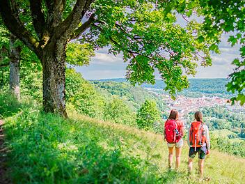 Wahl zu Deutschland sch&ouml;nstem Wanderweg: Eichst&auml;tter Panoramaweg unter den Favoriten