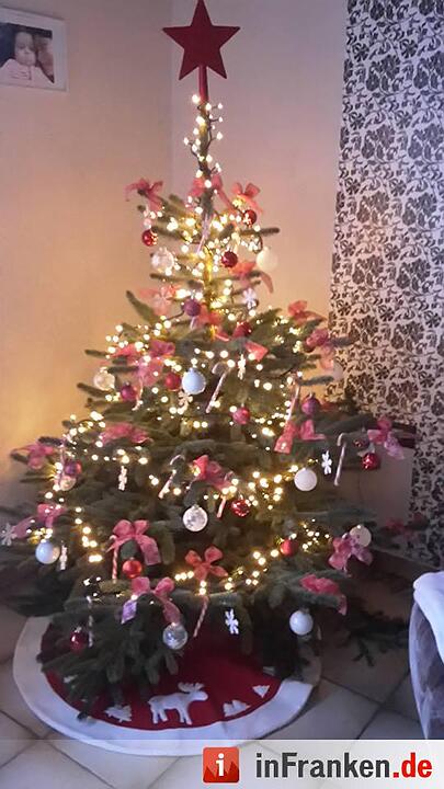 Weihnachten in Franken: Die Christbäume unserer Leser