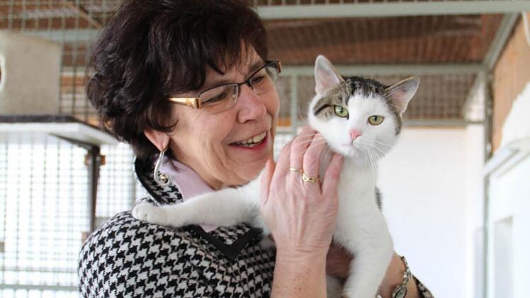 Susann Biedefeld zu Besuch im Tierheim Fotos: Völk