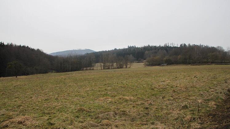 Auf dieser Wiese hinter dem bestehenden Wohngebiet Oberes Straßfeld will ein privater Investor neue Bauplätze erschließen. Fotos: Ulrike Müller