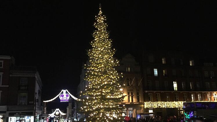 So leuchtete der Coburger Weihnachtsbaum im Advent 2016 vor Schloss Windsor. Foto: CT-Archiv/Michael Selzer