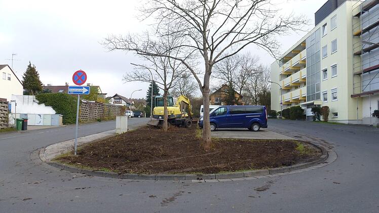 Die neuen Ahornbäume am Ernst-Reuter-Platz Foto: Gartenamt Forchheim