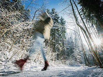 Diese Spaziergängerin lässt sich vom Schnee in den Wipfeln nicht beeindrucken. Ungefährlich ist das nicht, meinen Experten.  Fotos: Steffens