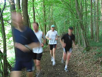 Diese Laufgruppe ist im Michelsberger Wald bei Bamberg unterwegs. Wollen Sie mit ihrer Gruppe verschiedene Strecken im Landkreis Coburg ausprobieren? Dann bewerben Sie sich als Laufgruppe für unsere "Aktivwochen".  Foto: Michael Wehner