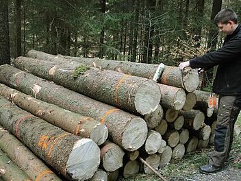 Tobias Wicklein mit seinem künftigen Handwerkszeug: Messkluppe und Farbspray. Die Buchstaben "EW" bedeuten, dass das Holz seinem Opa Edmund Wicklein gehört. Foto: Friedwald Schedel