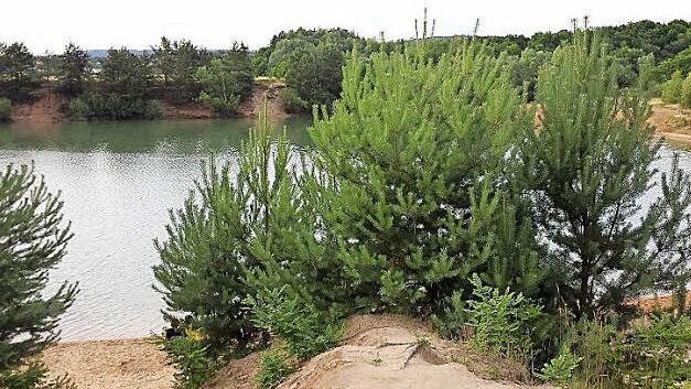 Die Wanderer aus Kleinsendelbach zieht es leidenschaftlich gern in die Natur.  Foto: privat