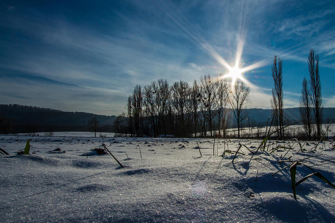 Fotos Konrad Thomann