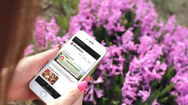 Verpassen Sie keine Gartentipps mehr