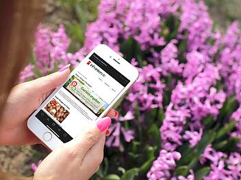 Verpassen Sie keine Gartentipps mehr